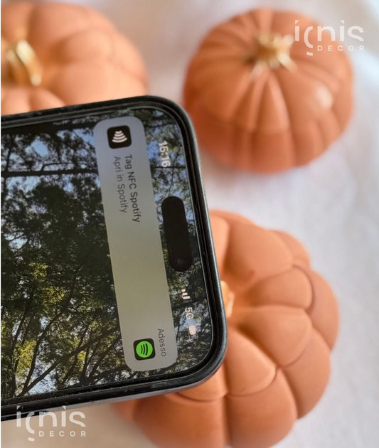 Zucca Magica con Chip NFC