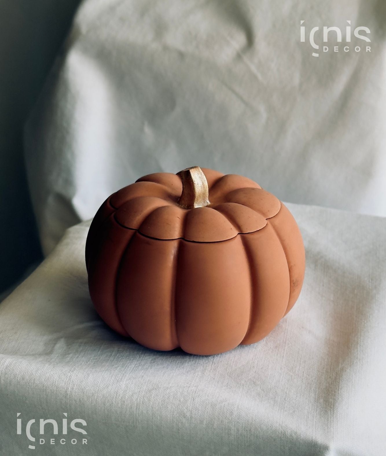 Zucca Magica