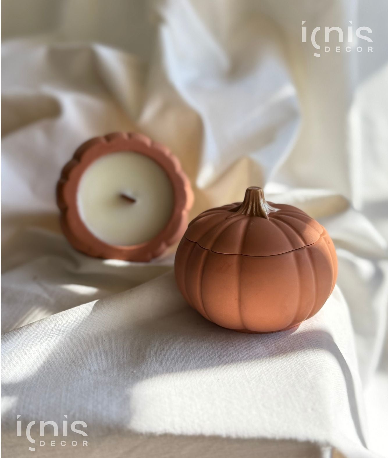 Zucca Magica