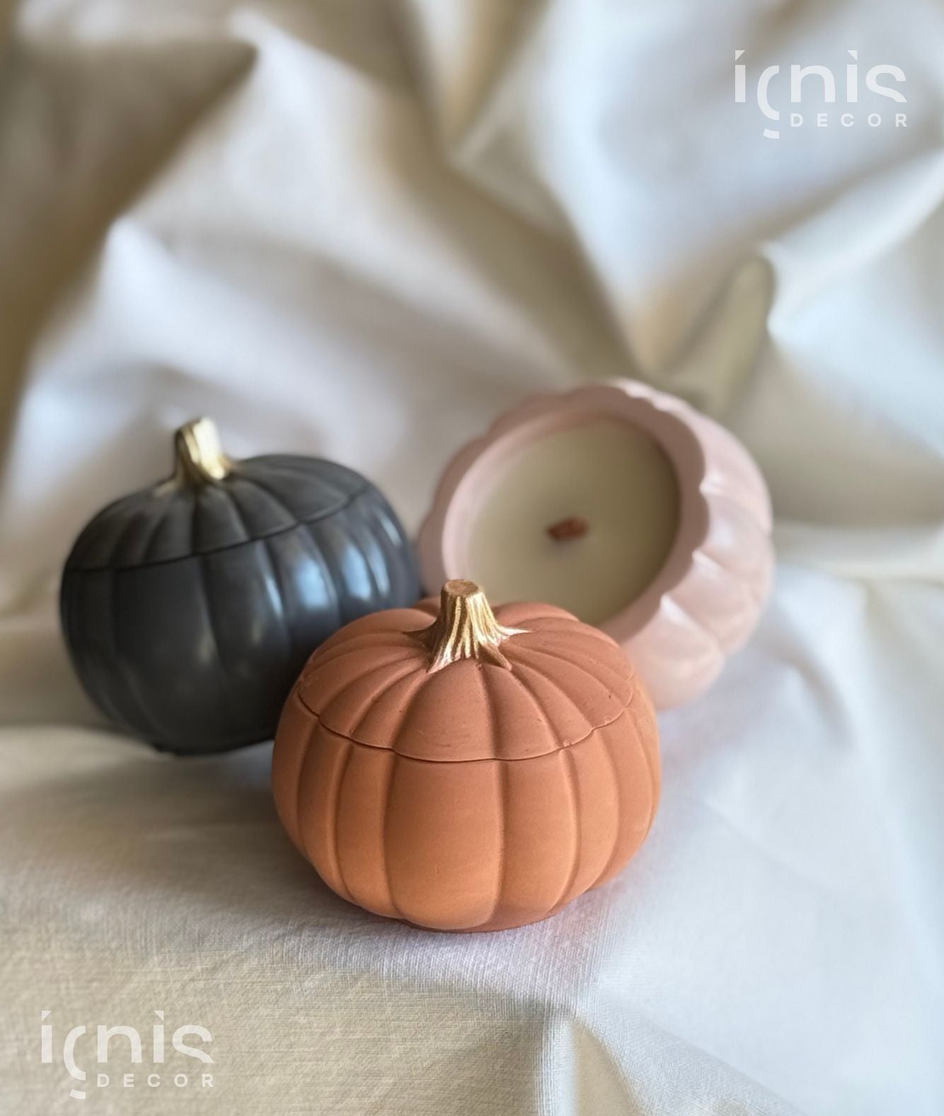 Zucca Magica